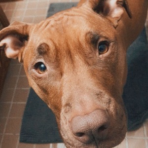 Fundraising Page: Jessica Mccullough